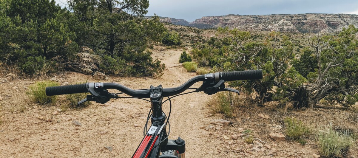 Looking ahead down the trail